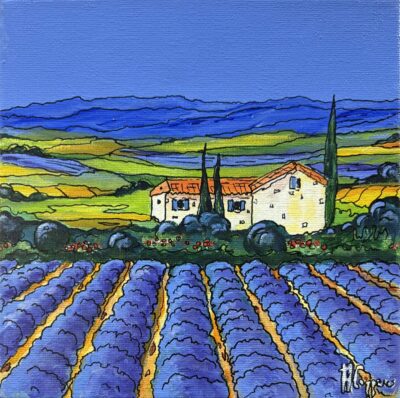 Champs de lavande (Provence)