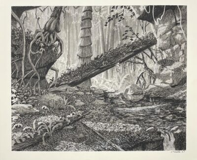 Kossiguane (Giclée – Edition de 8)
